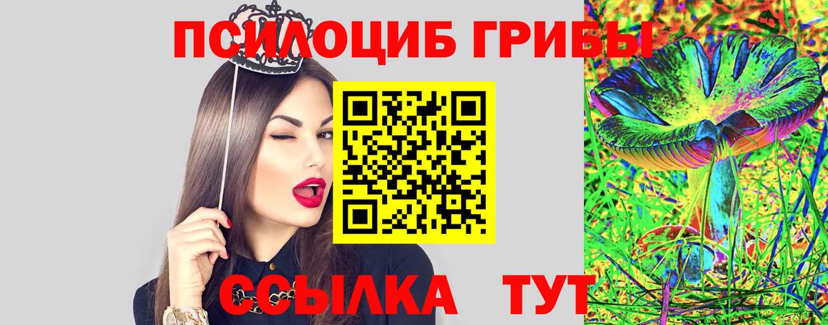 купить   Вход с VPN  Анжеро-Судженск  Псилоцибиновые грибы прущие грибы 